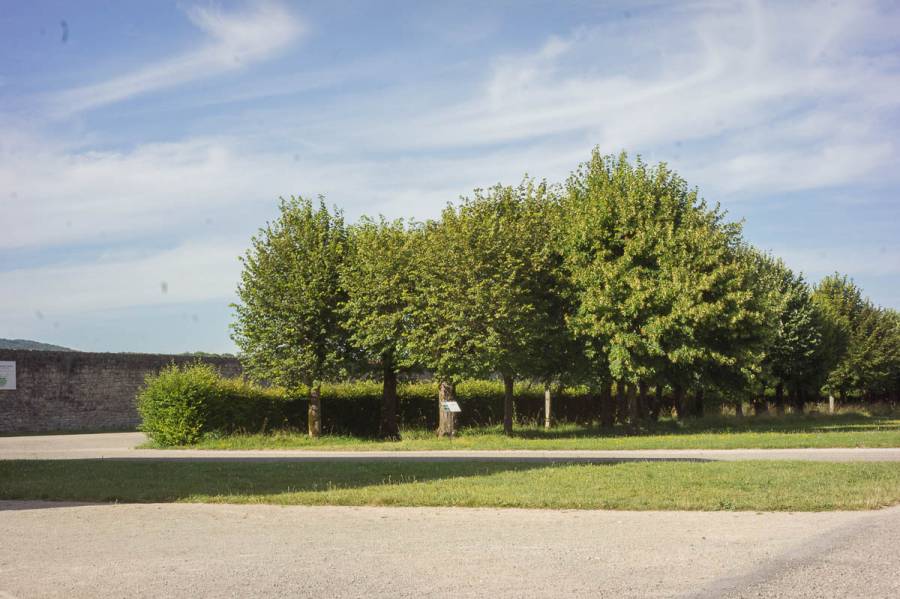 parcourssonore-10.jpg parcourssonore-10.jpg